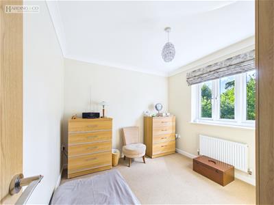 Picture 17